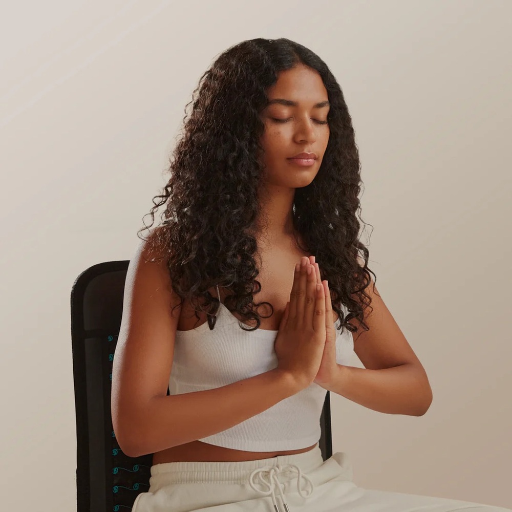 HigherDOSE Infrared PEMF Go Mat for Recovery and Stress Reduction with Cover - Picture 4 of 9